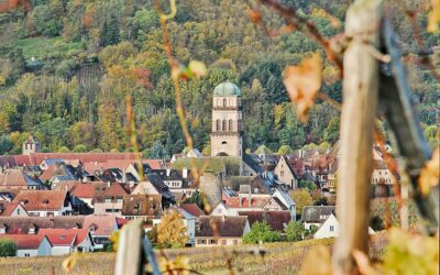 Le camping Lefébure à la période des vendanges de septembre à octobre